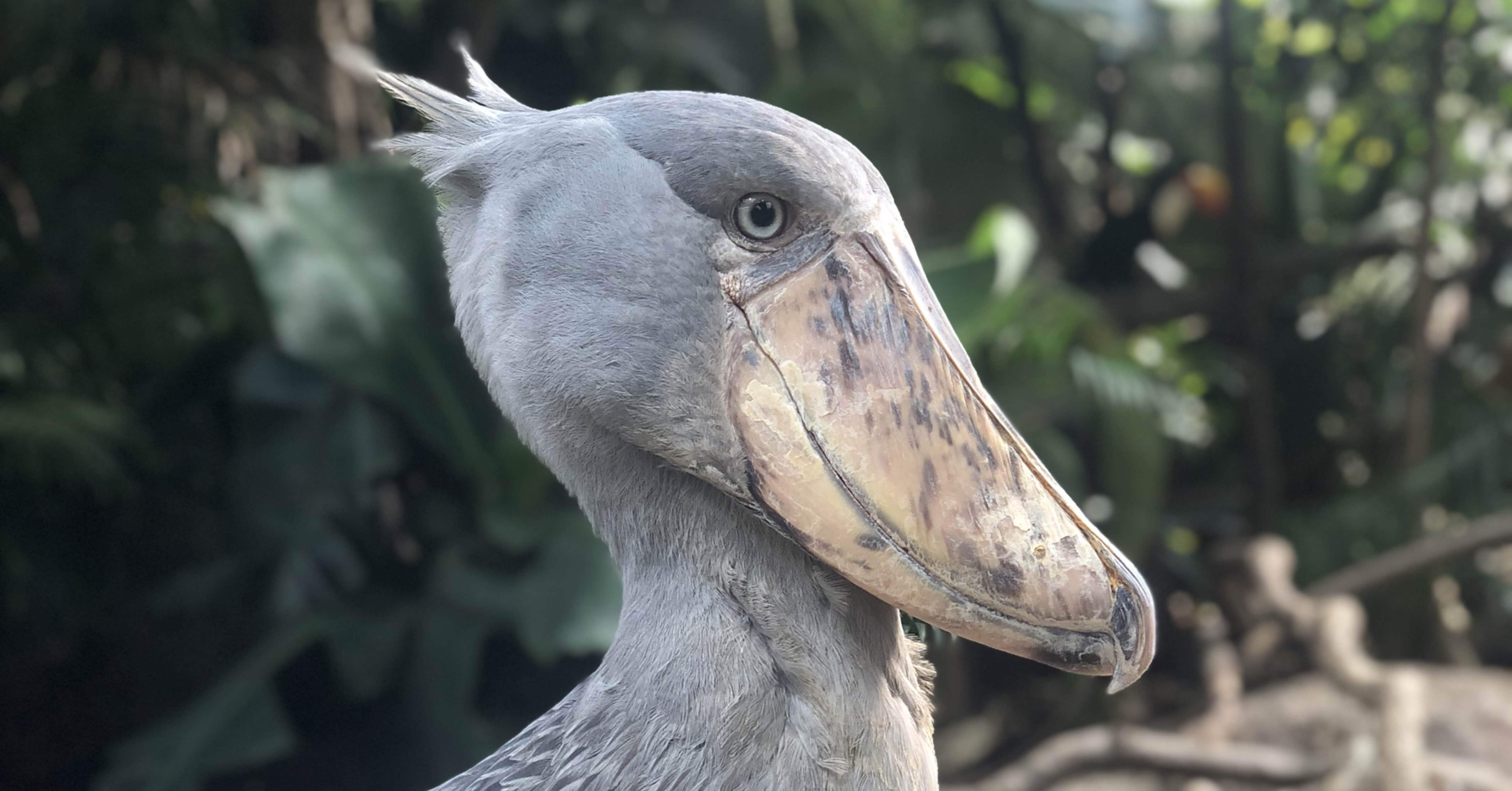 d57ee627a259723f9e528dc84631f7