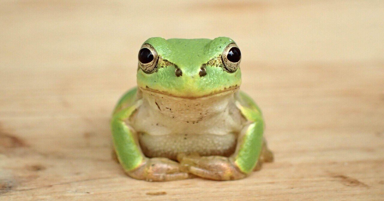 rectangle_large_type_2_2608da3