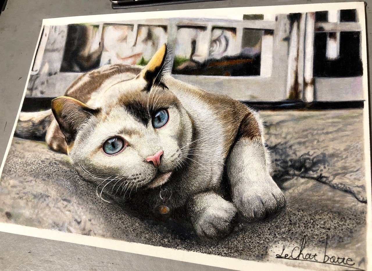 猫の絵 #描き方 色鉛筆画 3