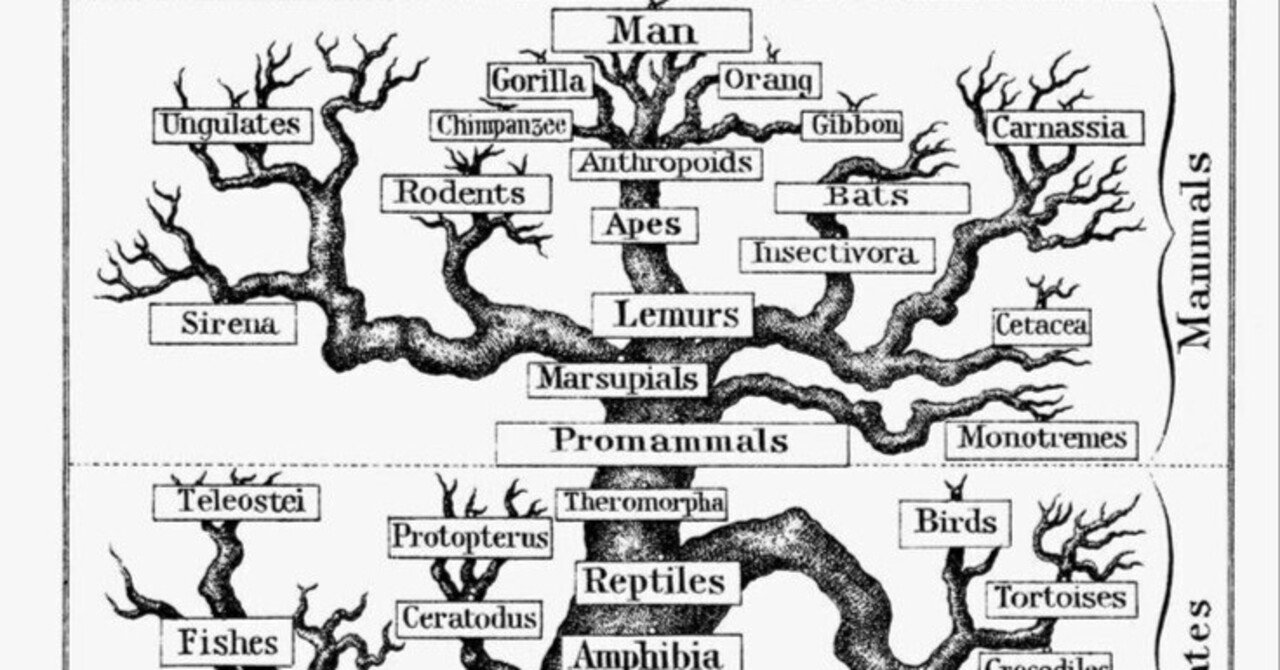 FFGs理論と量子生命学による人類未来の進化の方向性。（AGI進化と量子ICT時代を準備する）超格差社会と生存競争時代がもたらす未来｜NBA