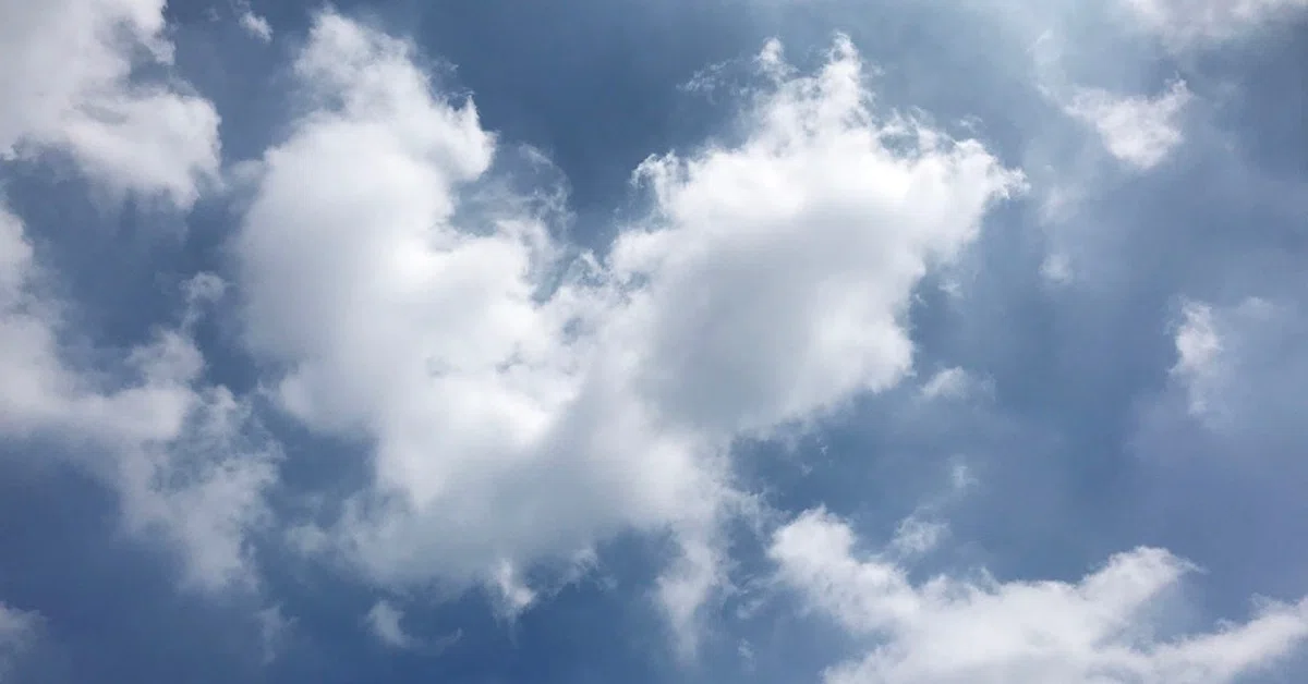 20190803空