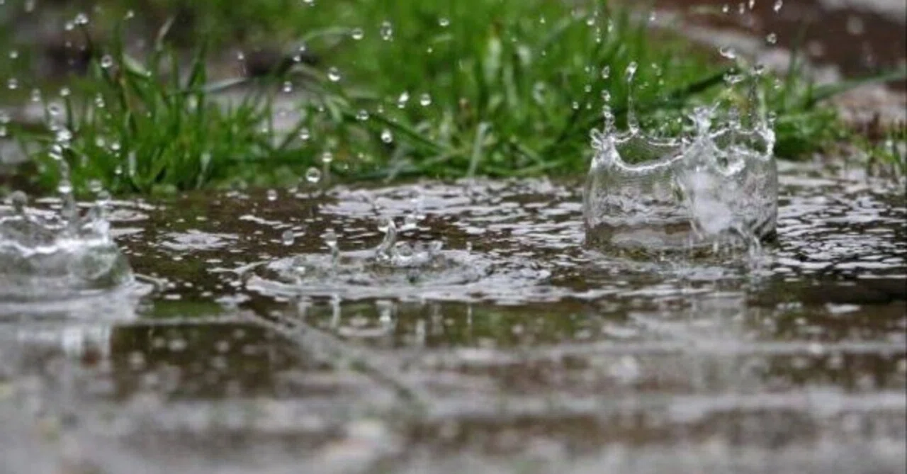 雨模様の1日…｜月兎(げっと)