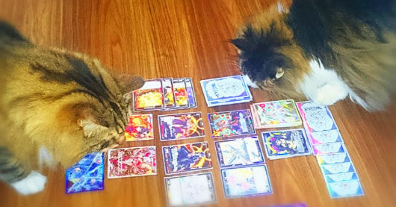ウィーアー】私、夢限少女杯に遊びにいきます【WIXOSS】｜モルモス