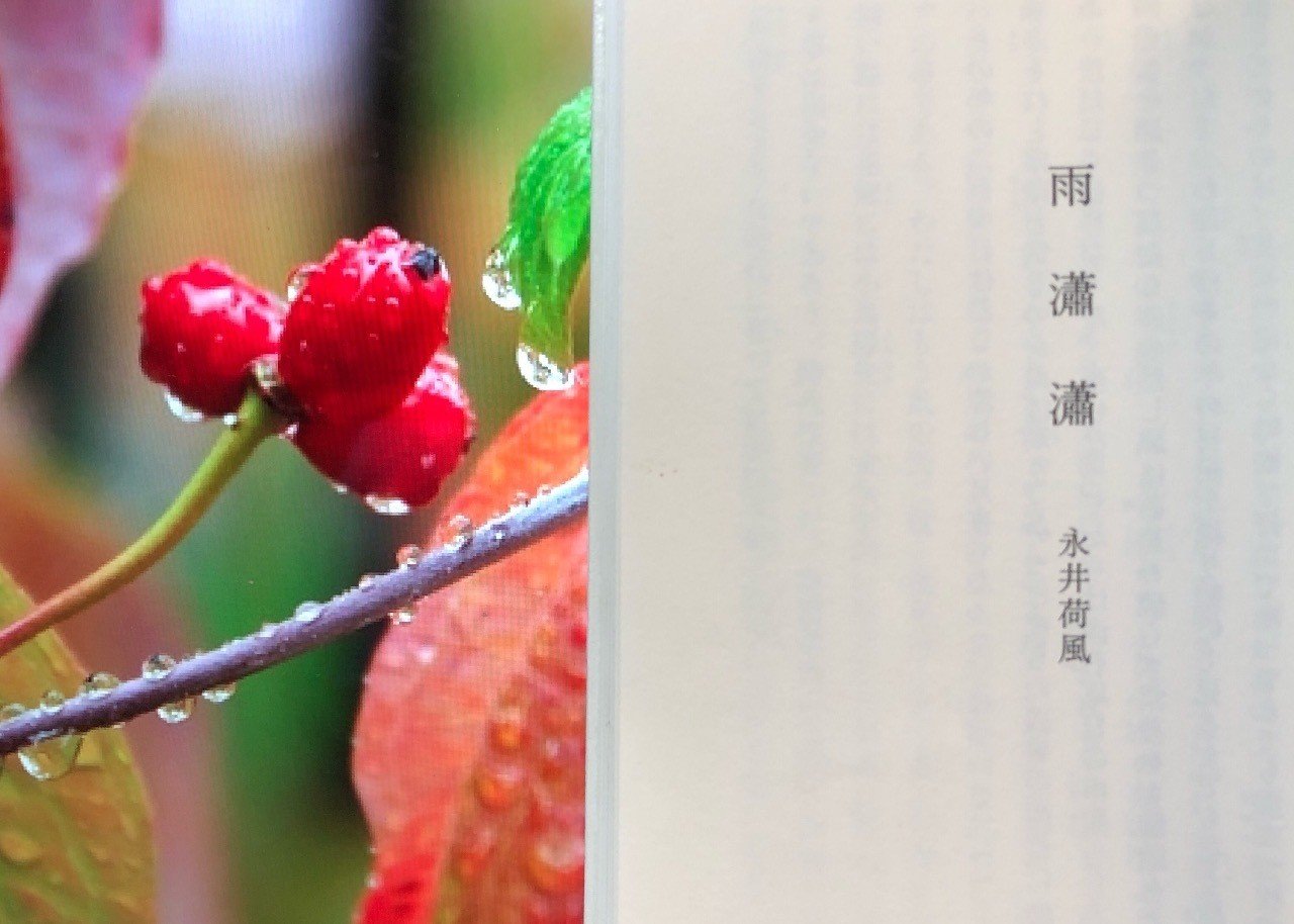 vol.54 永井荷風「雨瀟瀟」（あめしょうしょう）を読んで｜西野 友章