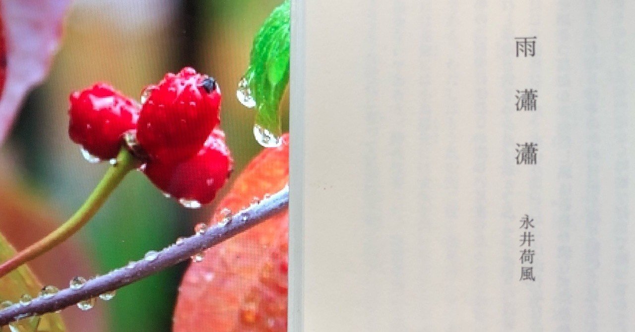 永井荷風「 雨瀟瀟 」昭和10年 限定300部 函付き 永井荷風「 雨瀟瀟 」昭和10年 限定300部 函付き - メルカリ