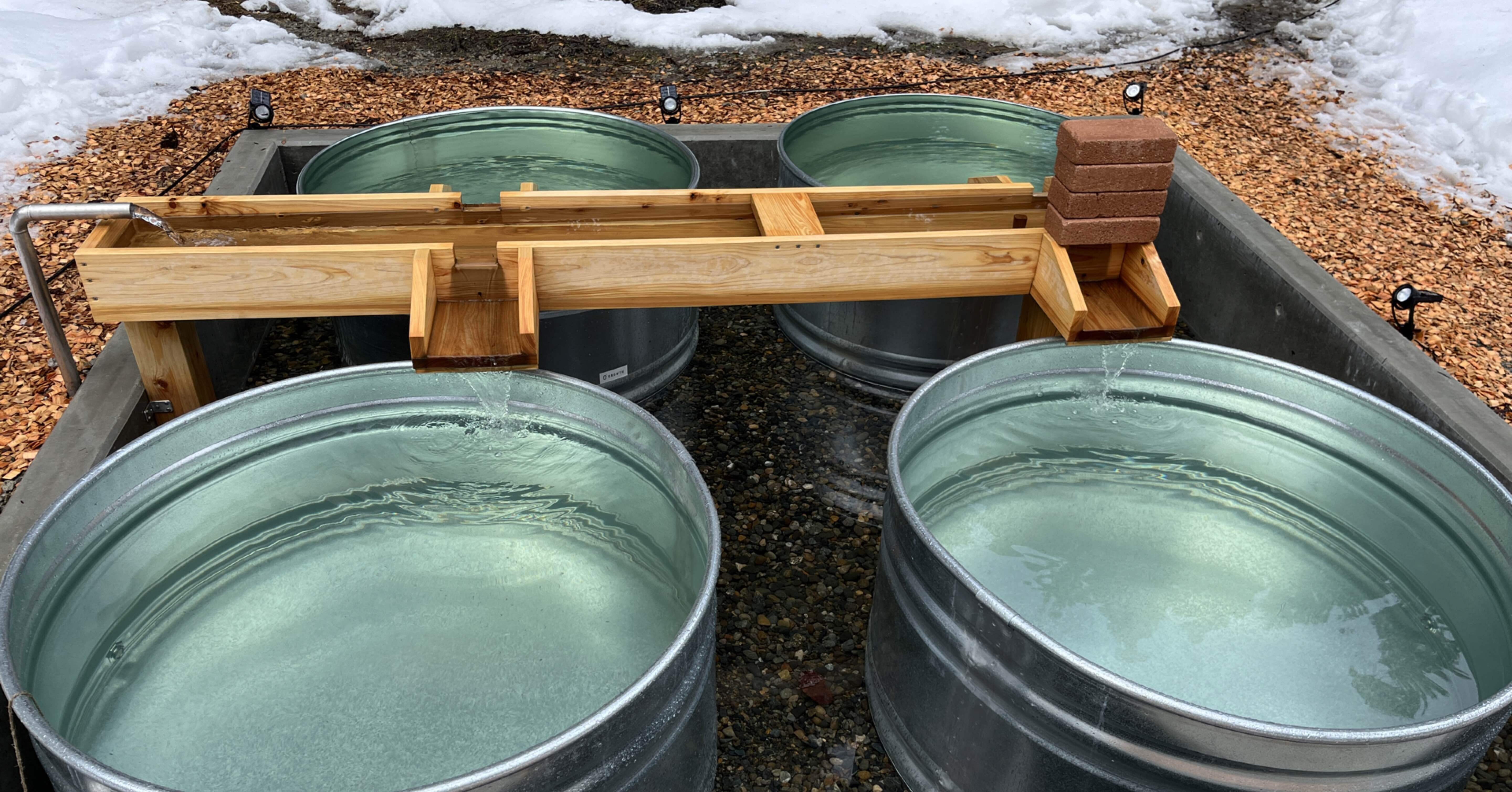 サ活記録21 OJIYA SAUNA DEN 〜名水で身を清め、里山の風の中で