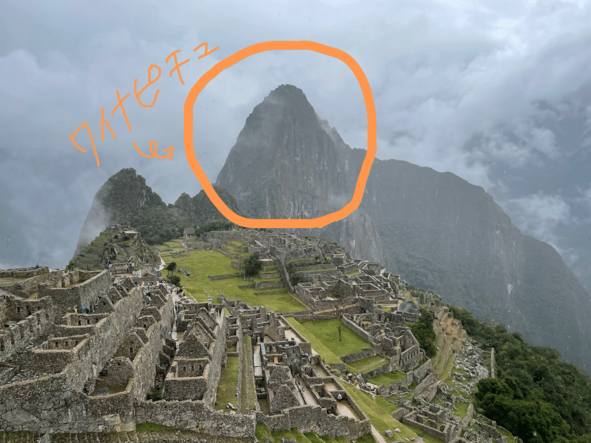 南米三大絶景を巡る旅・マチュピチュの巻 : 動物・テディべア