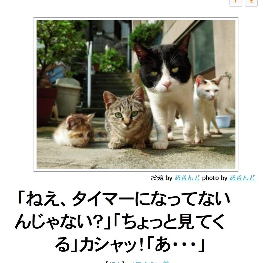 お気に入りのネコbokete集1 随時更新 Baリう Note お気に入りのネコbokete集1 随時更新 Baリう Note