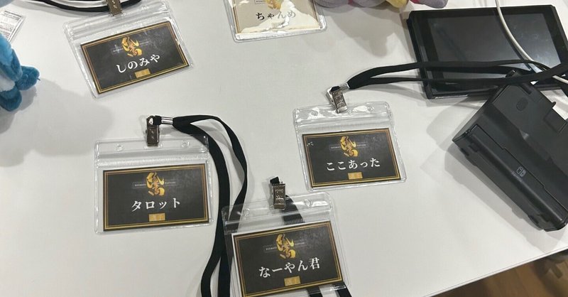 Switch LiteとSwitchを2台持ちする場合に気をつけた方がいいこと