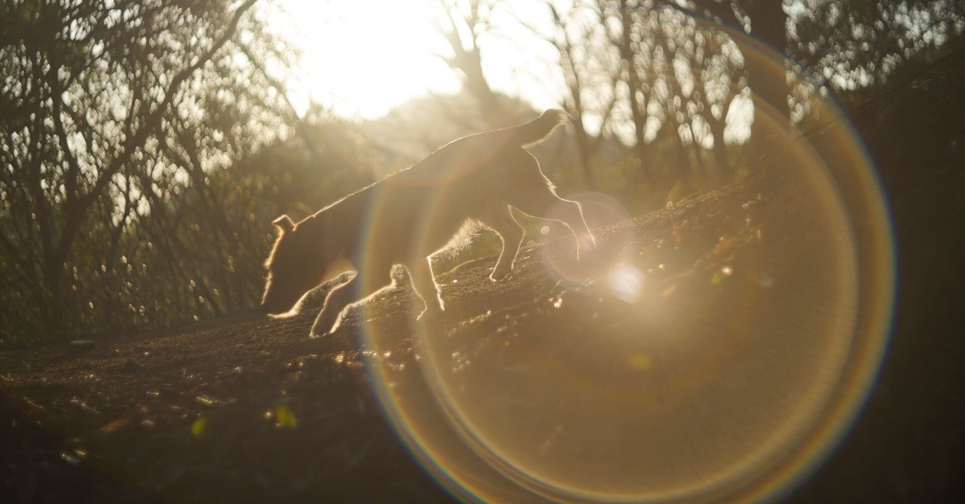 90c16c0facbf1fd9154c60ac099aea