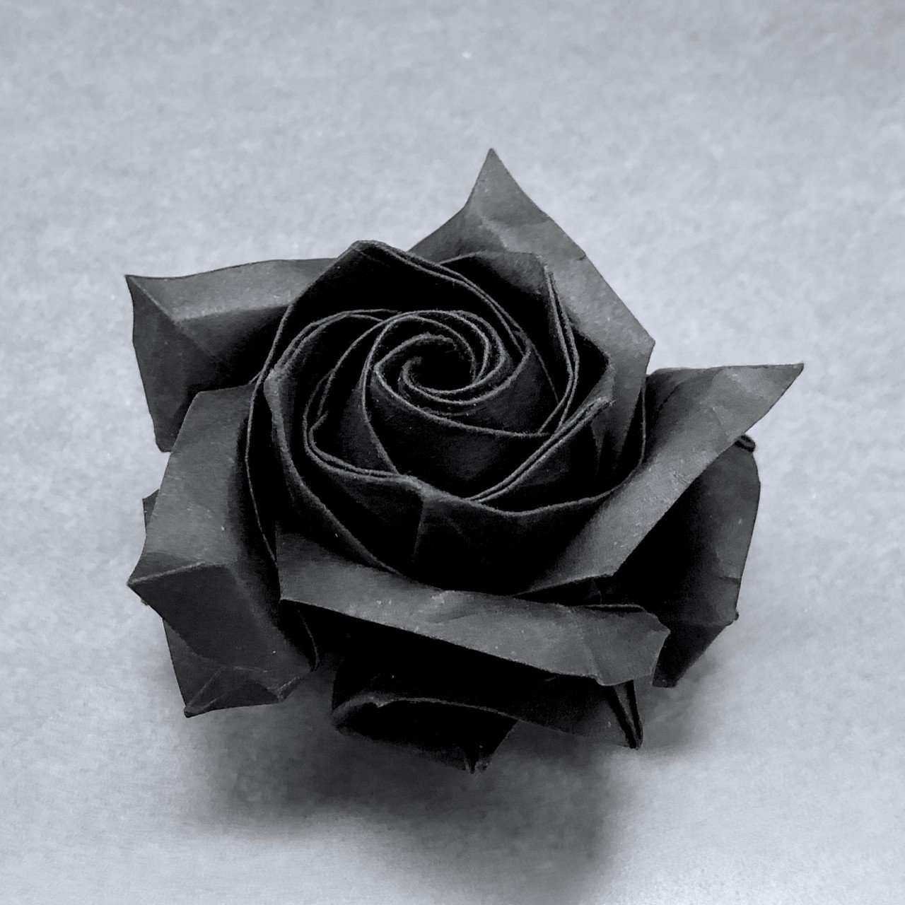 厨二心をくすぐる「黒いバラ」が誕生 〜佐藤ローズ×Vivaldi×BLACK