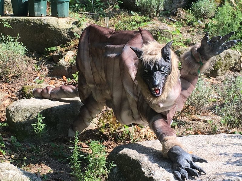 イノシシvs人造狼 ラボン Note