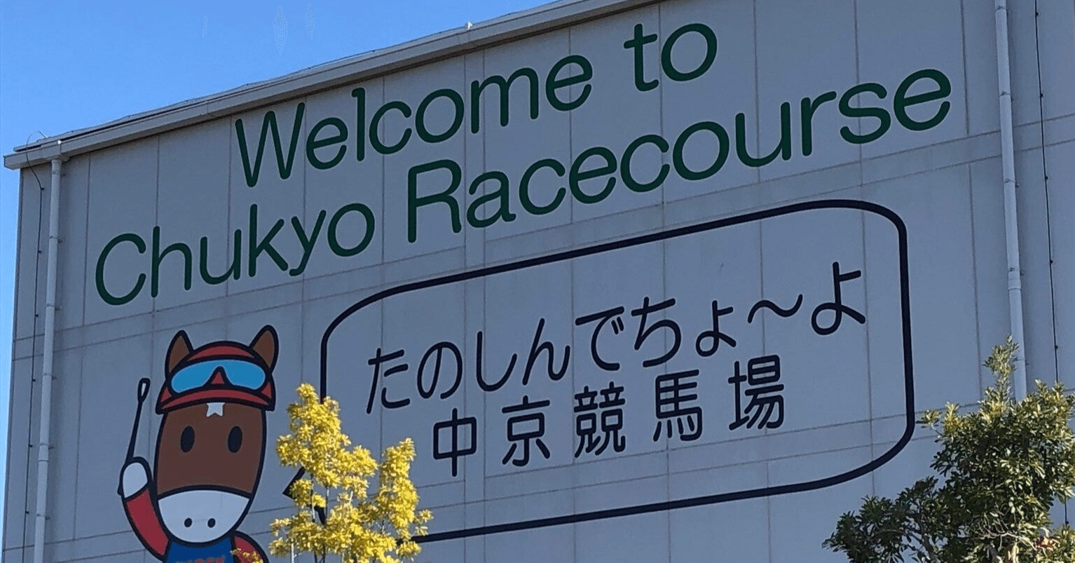今井雅宏 馬券戦略書セット 3連複・馬単万馬券を狙って獲る方法 | 今井 雅宏 |本 | 通販