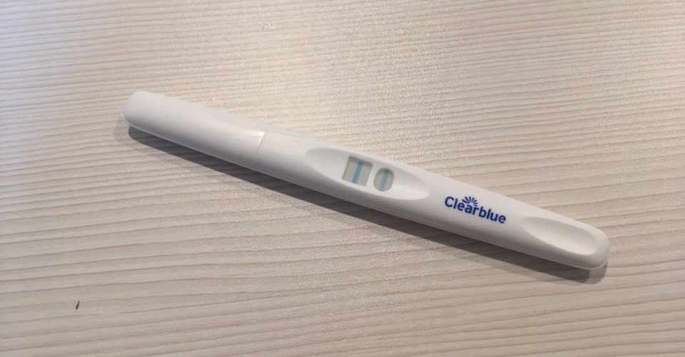ブログ 妊娠 超 初期 症状