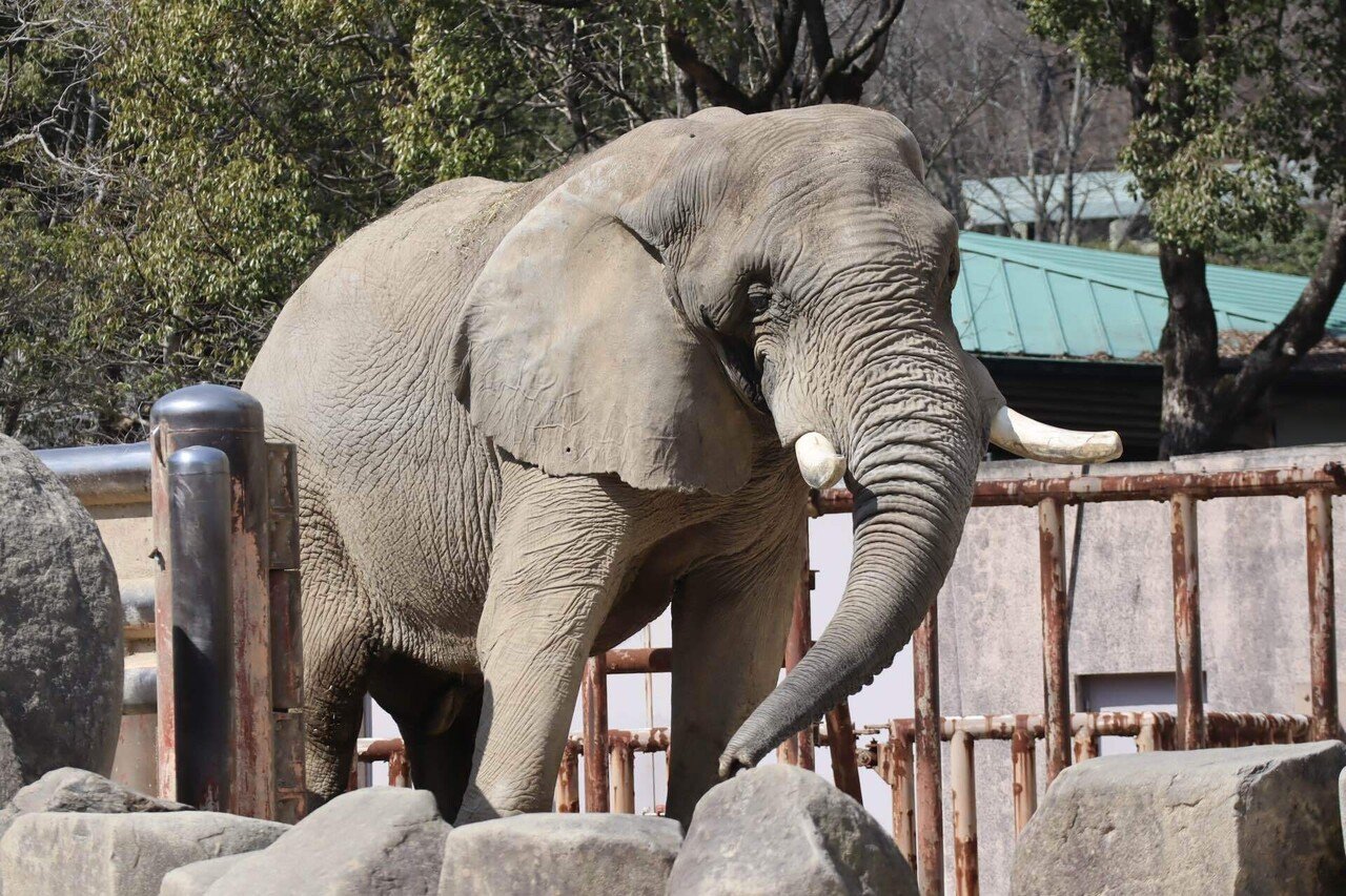 広島安佐北BIG5。｜Mr.シンゲツ