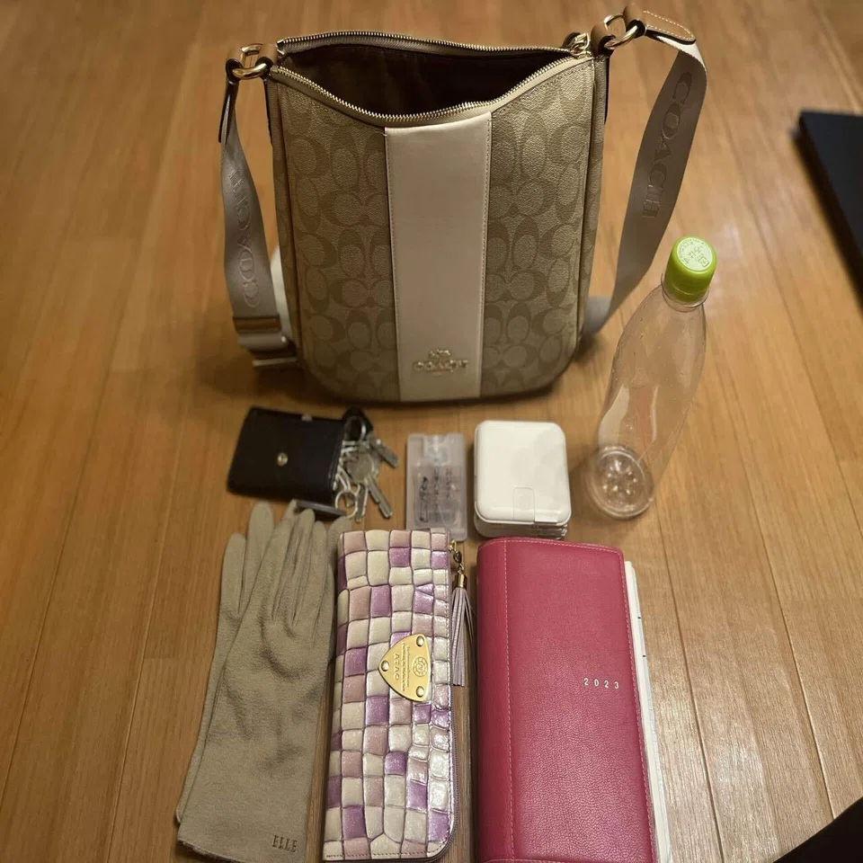 Coach エリー ファイル バッグ・シグネチャー キャンバス・ストライプ 