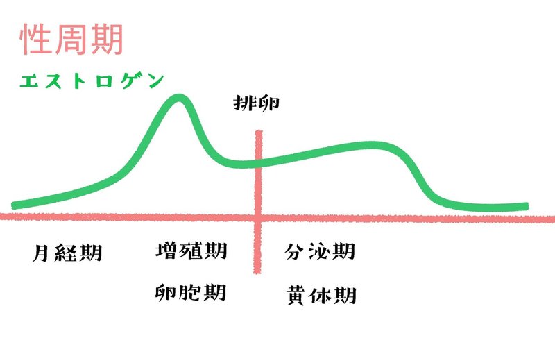生理学 図解 イラスト とゴロあわせで簡単に覚える 女性ホルモン 性周期 森元塾 国家試験対策 Note