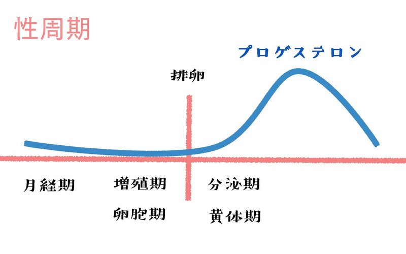 生理学 図解 イラスト とゴロあわせで簡単に覚える 女性ホルモン 性周期 森元塾 国家試験対策 Note