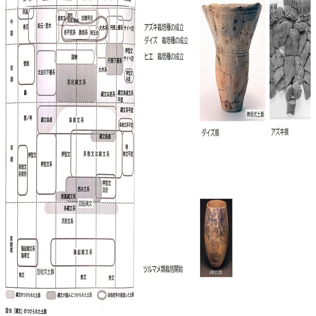 縄文時代の文明で忘れてはいけないこと｜にじから木五倍子