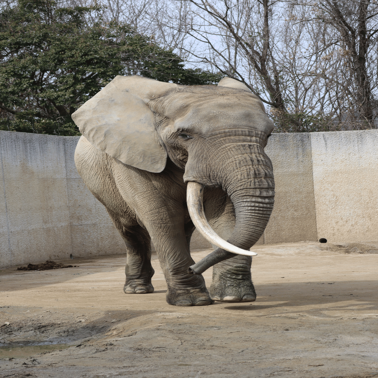 広島安佐北BIG5。｜Mr.シンゲツ