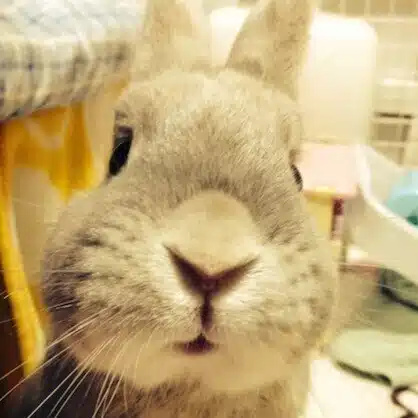 いつき＠