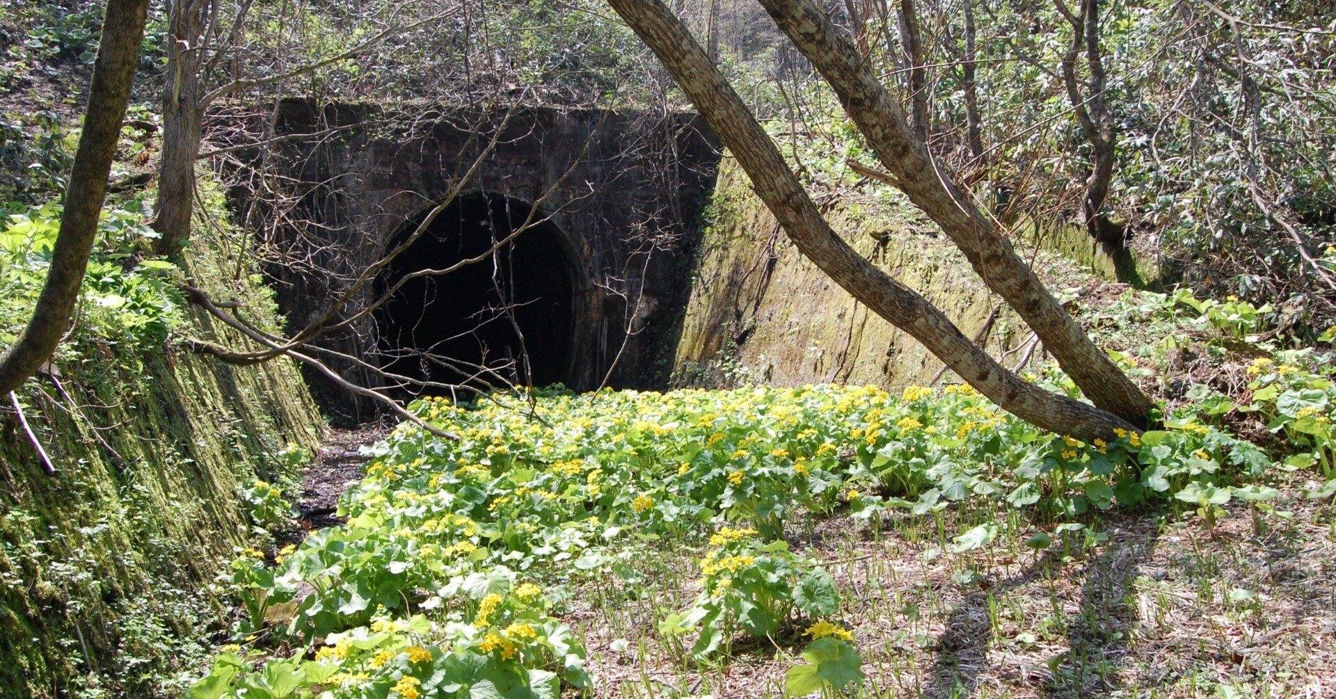 8eeef0be8355cbed69e160d599a130