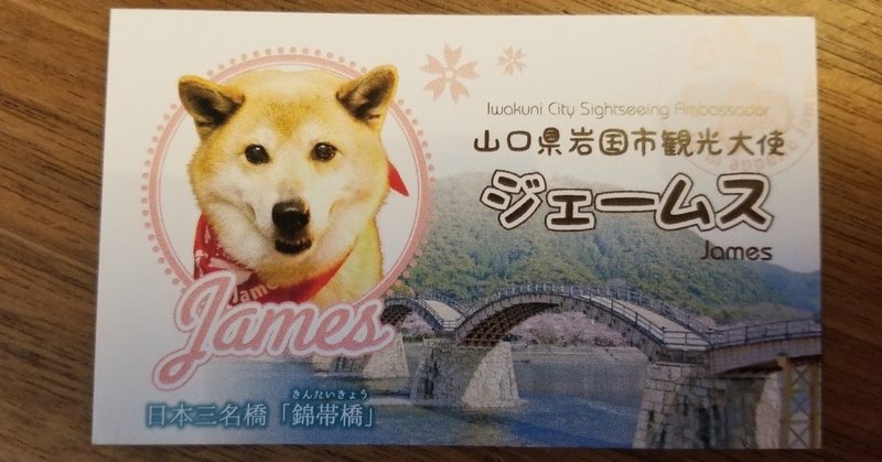 ジュマペールジェームス 15 犬の観光大使誕生 ジュマペール ジェームス 幸せを届けて歩いた犬 Www Facebook Com James Chuchuchu Note