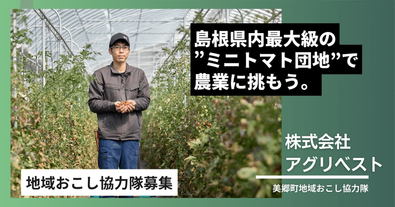 【地域おこし協力隊募集中】島根県内最大級の”ミニトマト団地”で農業に挑もう。〈株式会社アグリベスト〉
