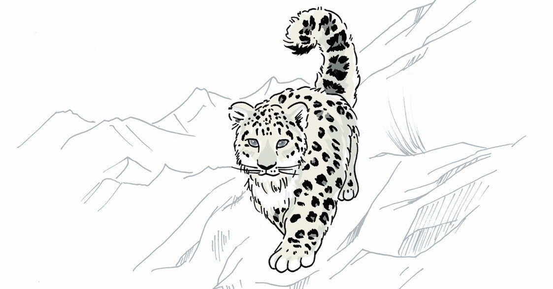 NATURE TALK 06』 脅かされるユキヒョウ｜mei