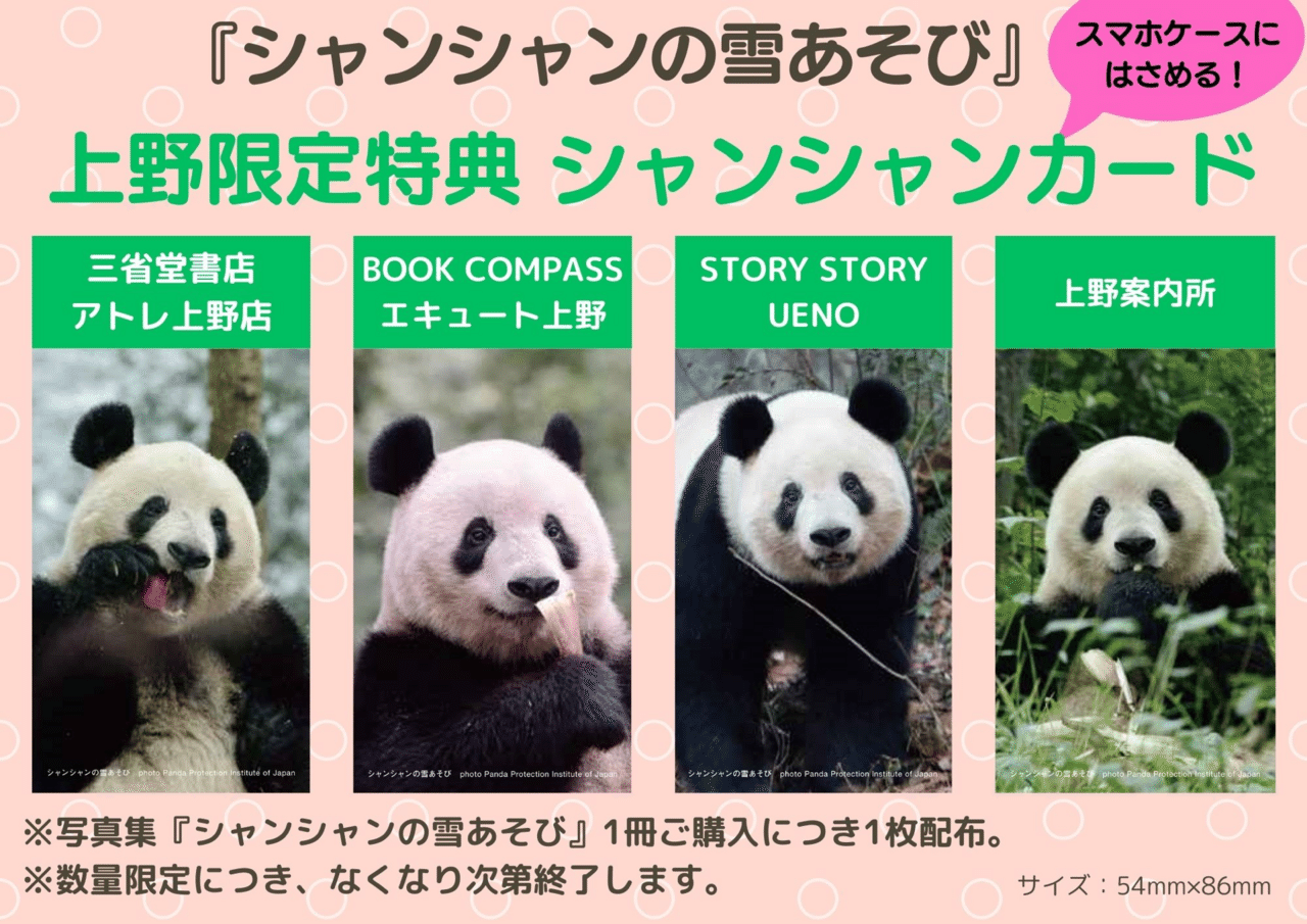 シャンシャンの雪あそび』『飾れる写真集 シャンシャンの中国だ