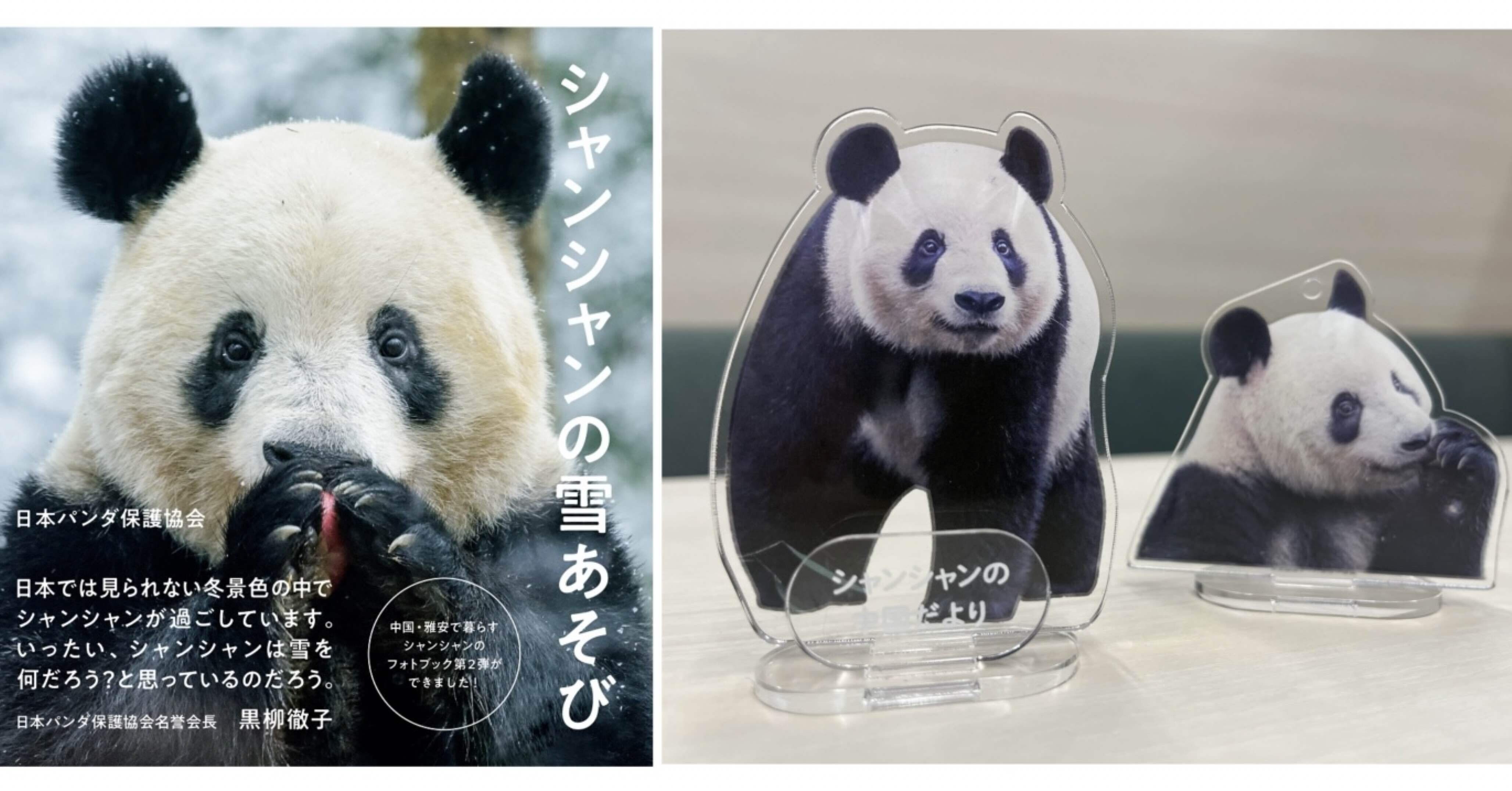 Amazon.co.jp: シャンシャンの雪あそび 限定カード シャンシャン