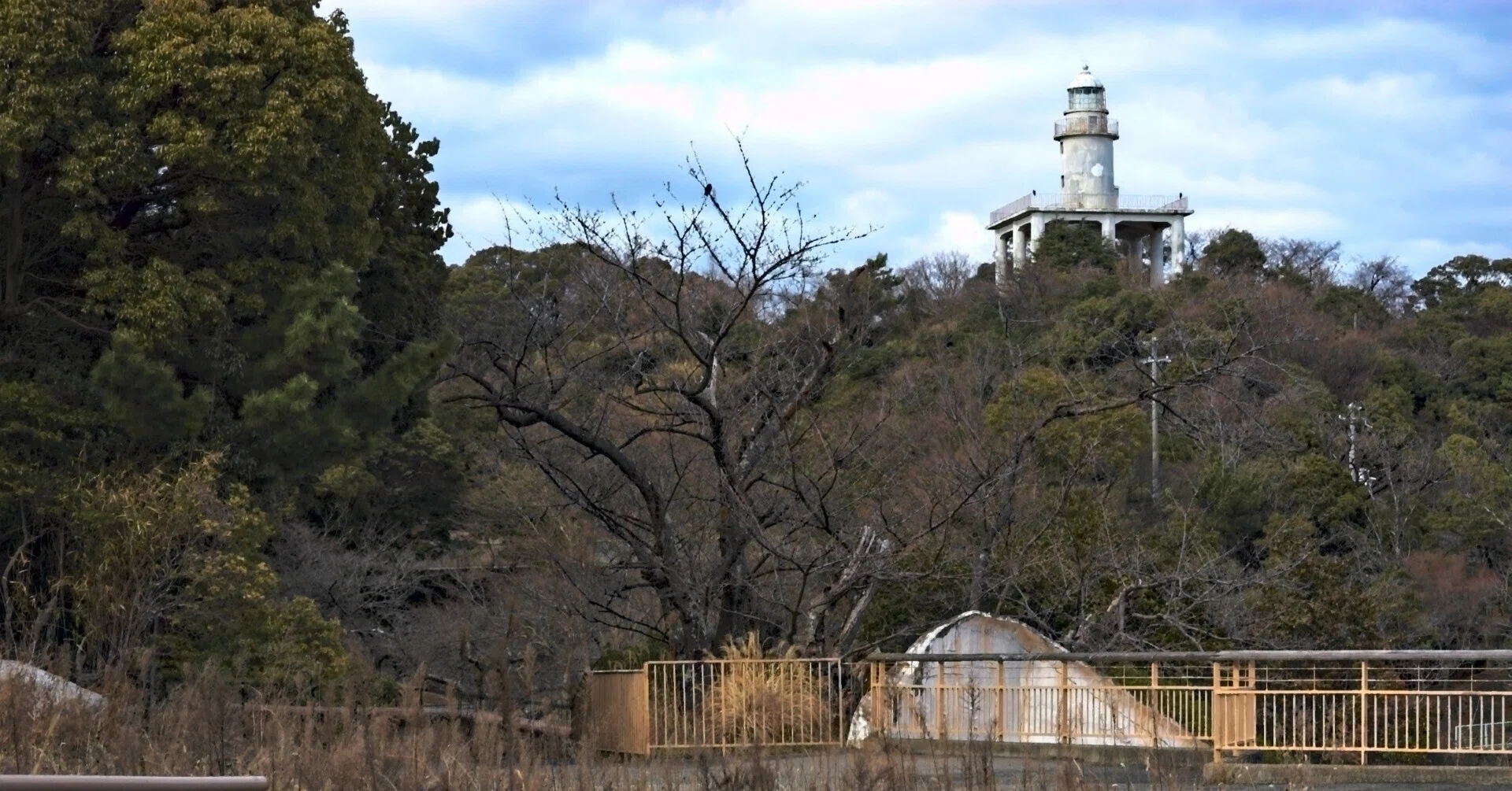 みさき公園の思い出 - 結晶化の結果として｜600万画素の男
