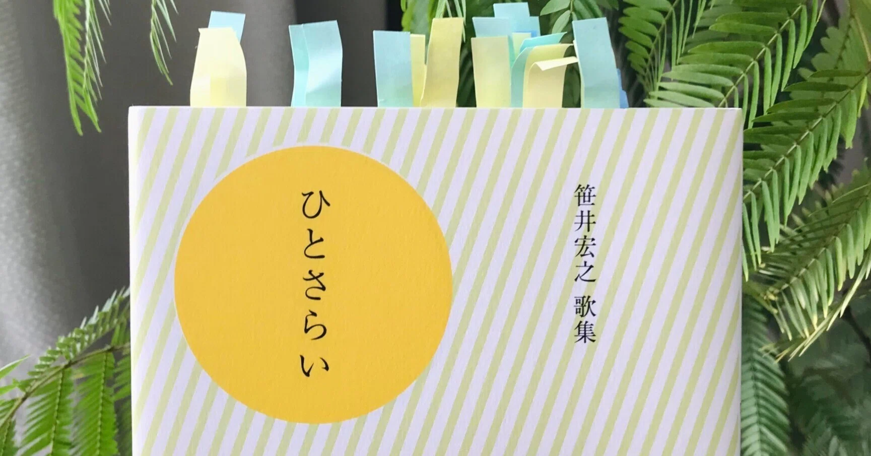 短歌五十音「さ」 笹井宏之『ひとさらい』｜桜庭 紀子