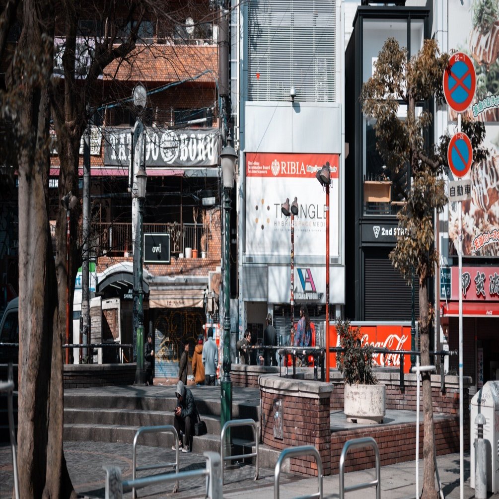 みえてきたZ9とZ fの使い分け｜みかづき