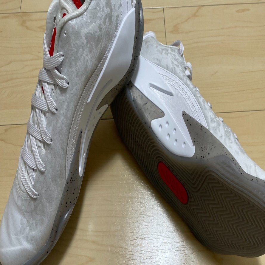 Zion 3 PF Performance Review｜Brankなんとか