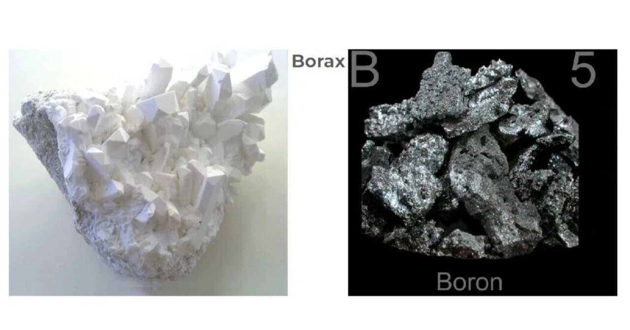 Boron(ボロン) とBorax(ホウ砂) の違い|Logic