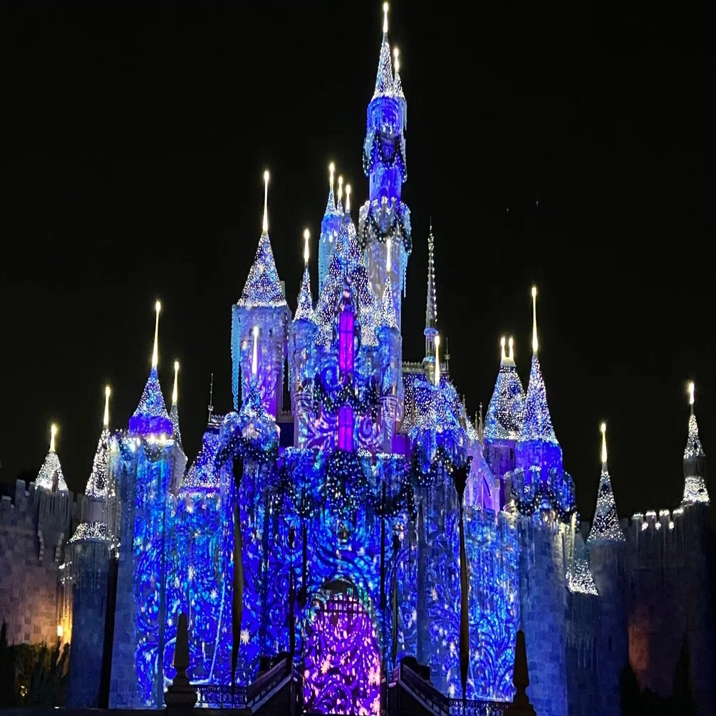 ディズニー好きな方☆〃 【公式通販】