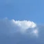 糞