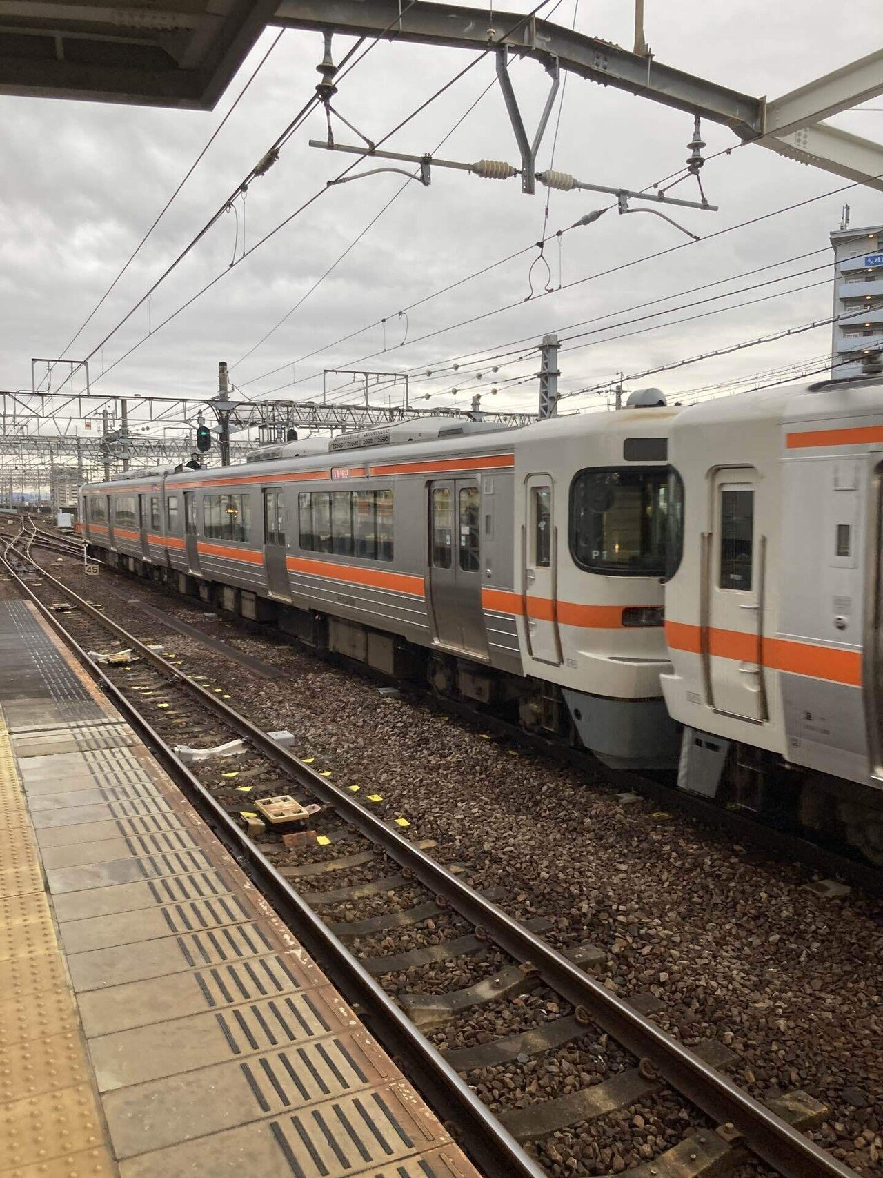 週刊オールライター第73号「313系一族」｜SHINJO HISASHI