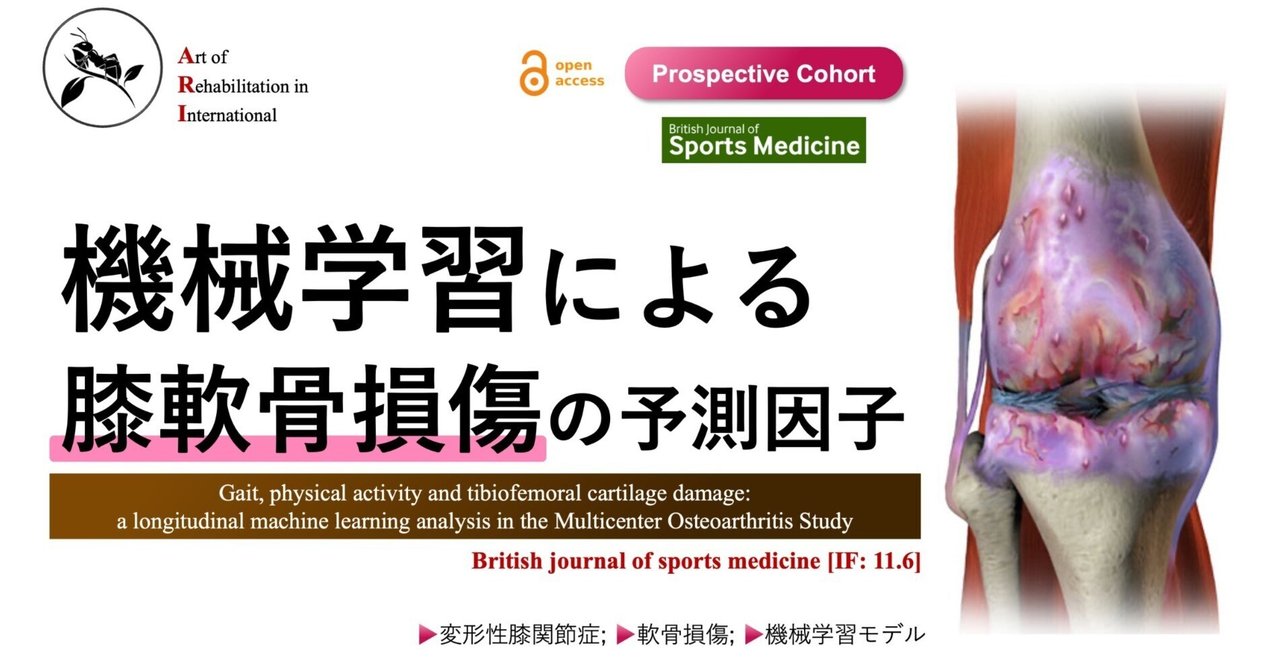 機械学習による膝軟骨損傷の予測因子｜Super Human | 理学療法士