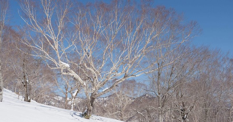 尾瀬の山に登ろう 〜 大行山