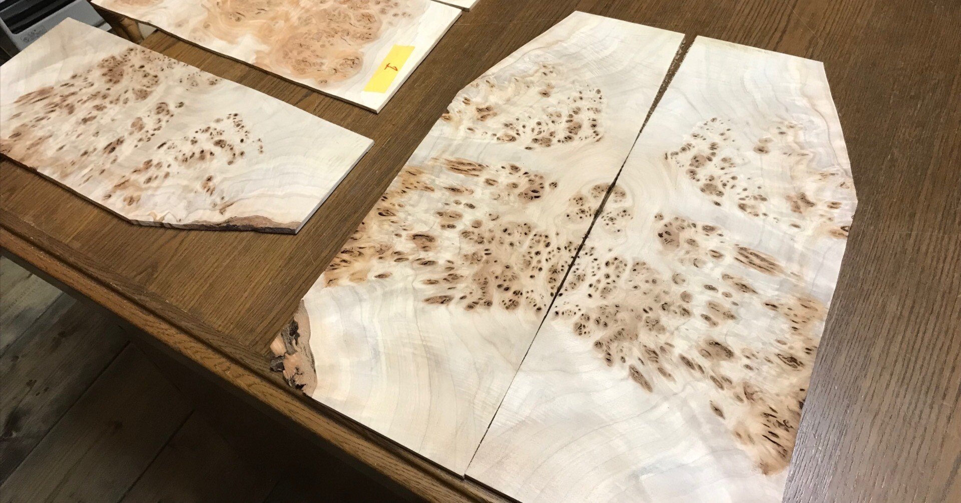 SUGIで5弦ベースをオーダーメイドした話｜Furukawa Takahiro /古川貴浩