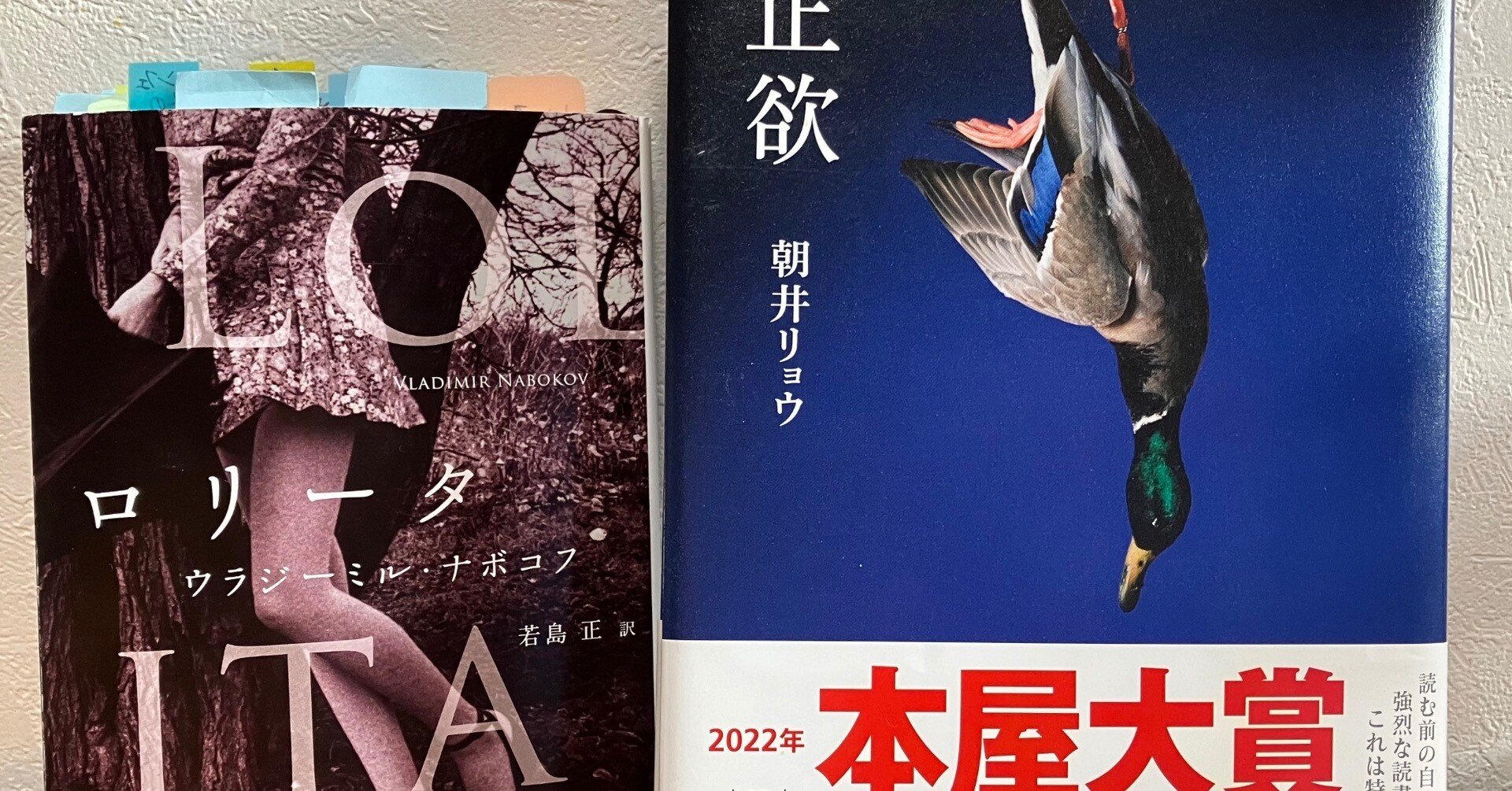 ロリコン　正常位 読書】「正欲」朝井リョウと「ロリータ」ウラジミール・ナボコフ｜らら