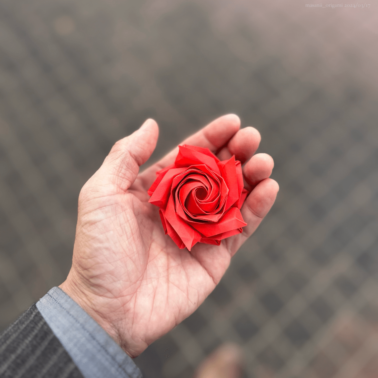 佐藤ローズ・ヴィヴァルディの新色3連発！／New 3 colors in Sato