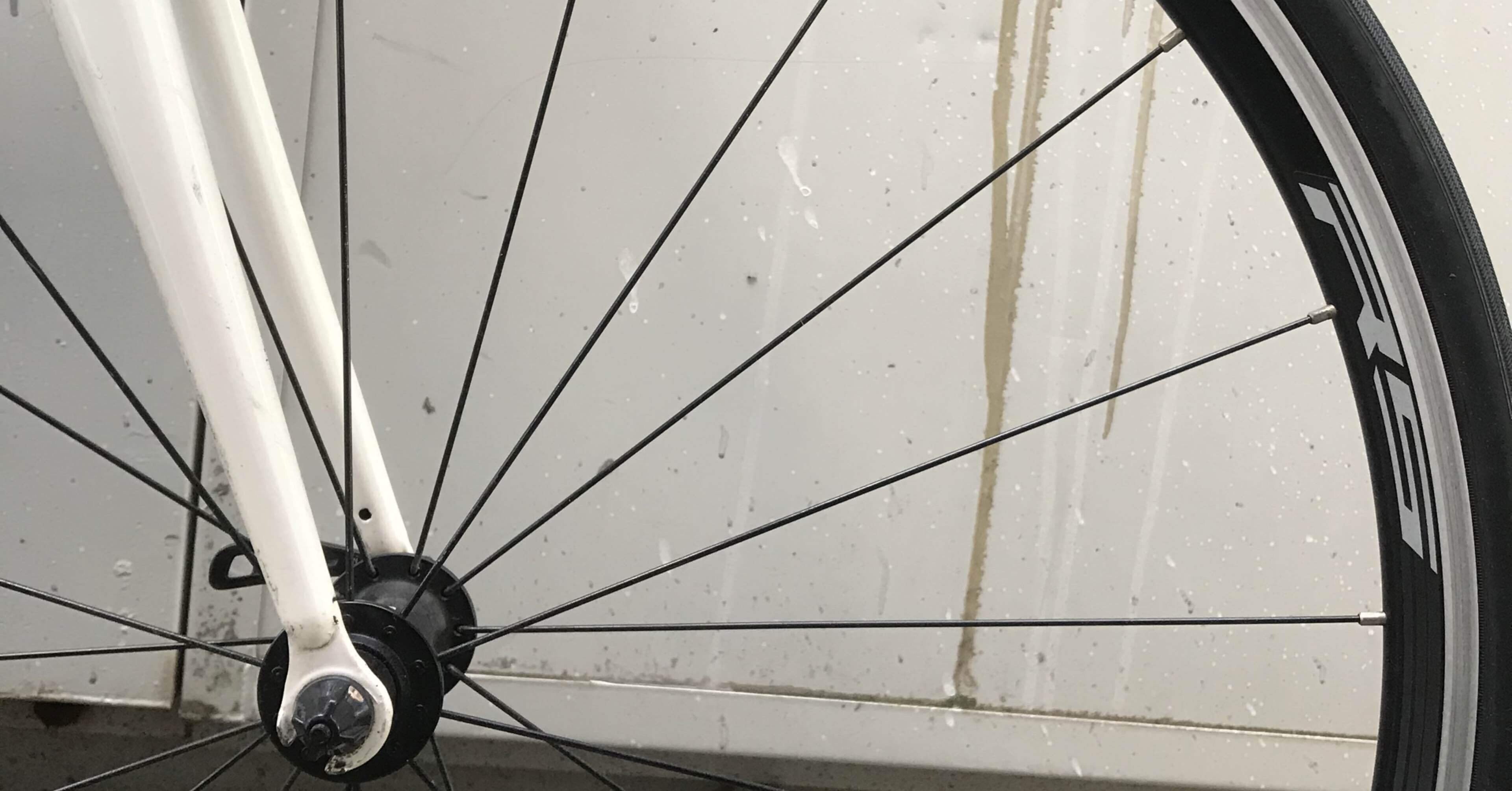 fd41c9a5b84ed03153ace2fdd23fa1