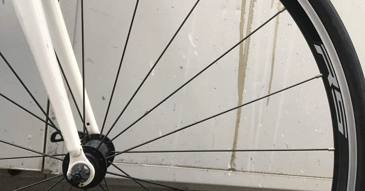 インプレ？】WH-RS010は本当に鉄下駄か？｜そのへんの栄養士