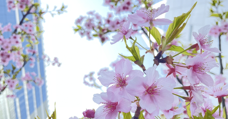 言葉の花束ーアキの詩集No.149