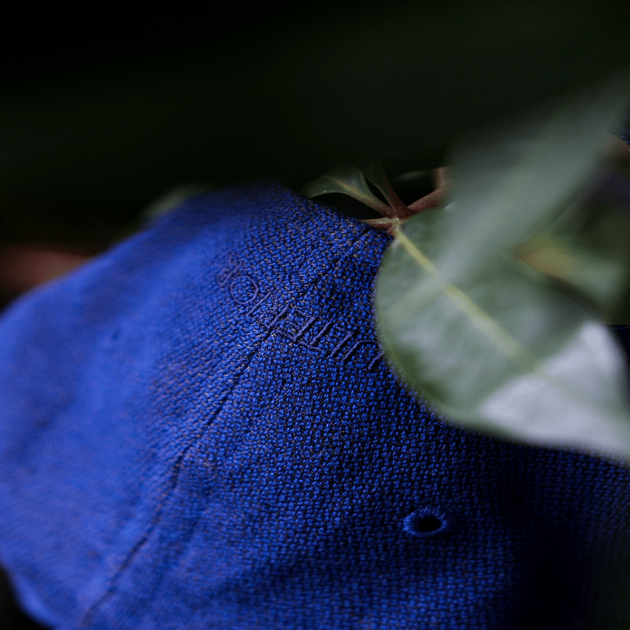 これぞSud.｜y_s_k117