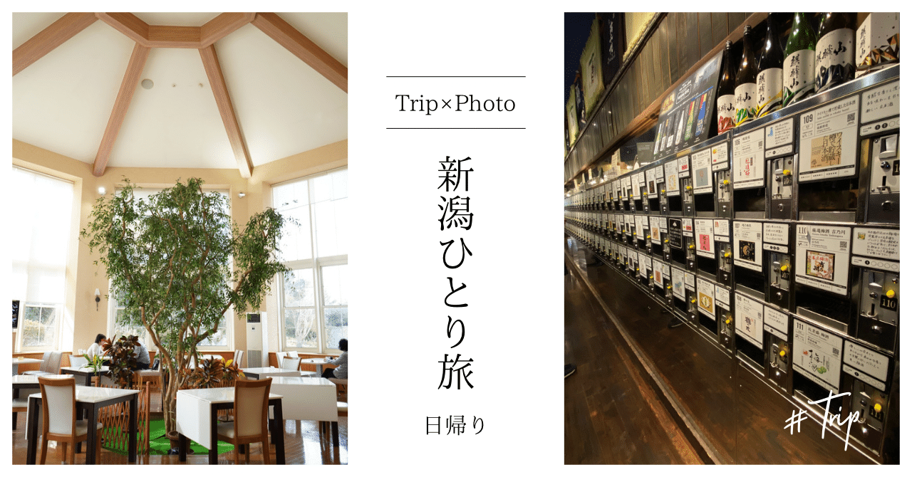 【大幅値下げ！】キュンパス3月6日（金）　新潟駅　15時50分頃お渡し　3枚 キュンパス】新潟・長野をお得に日帰り旅してきた！【女子鉄道旅