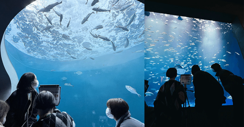 病室から水族館　